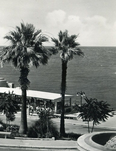 Ristorante da Nicola, Specialità Pugliesi a base di pesce - Torre a Mare, Bari