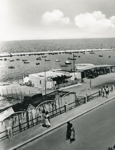 Ristorante da Nicola, Specialità Pugliesi a base di pesce - Torre a Mare, Bari