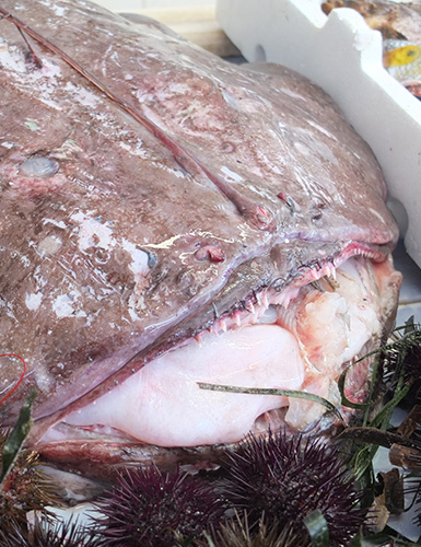 Ristorante da Nicola, Specialità Pugliesi a base di pesce - Torre a Mare, Bari