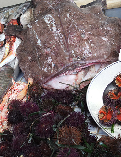 Ristorante da Nicola, Specialità Pugliesi a base di pesce - Torre a Mare, Bari