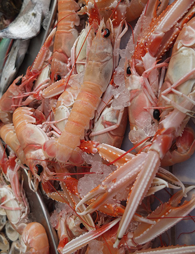 Ristorante da Nicola, Specialità Pugliesi a base di pesce - Torre a Mare, Bari