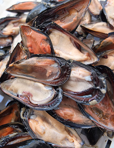 Ristorante da Nicola, Specialità Pugliesi a base di pesce - Torre a Mare, Bari