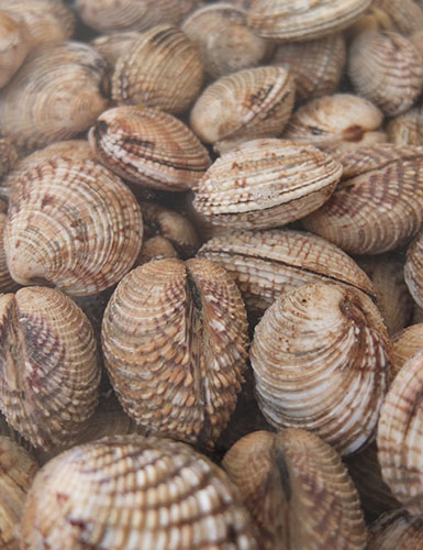 Ristorante da Nicola, Specialità Pugliesi a base di pesce - Torre a Mare, Bari